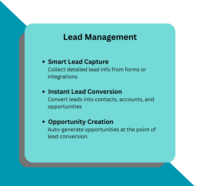 Lead Management Automation
